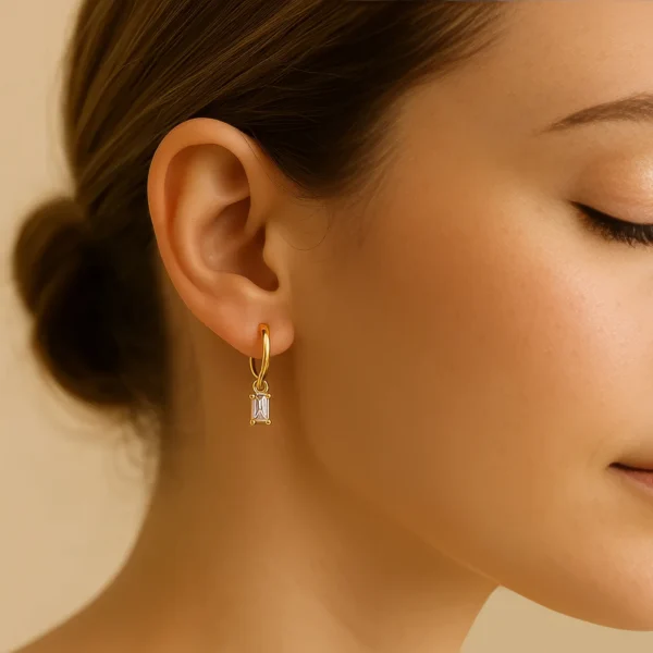 Rectra Hoops Crystal_WEBP2 Rectra Hoops Crystal_WEBP2